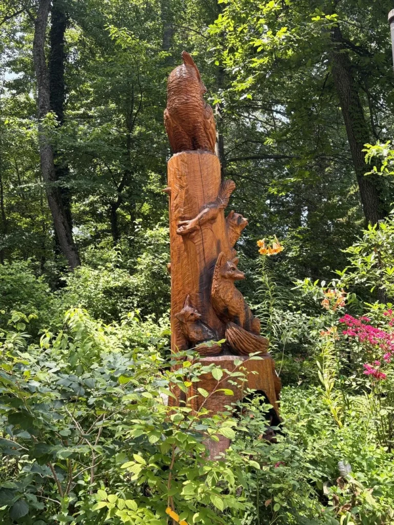 a-midsummer-symphony-resilience-and-radiance-in-a-pennsylvania-garden