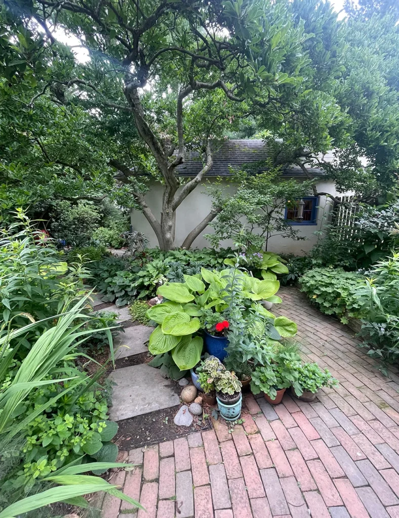 a-sanctuary-of-serenity-exploring-the-lush-shade-gardens-of-wyndmoor