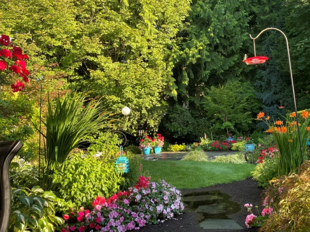 a-story-told-in-petals-how-one-mill-creek-garden-became-a-community-landmark
