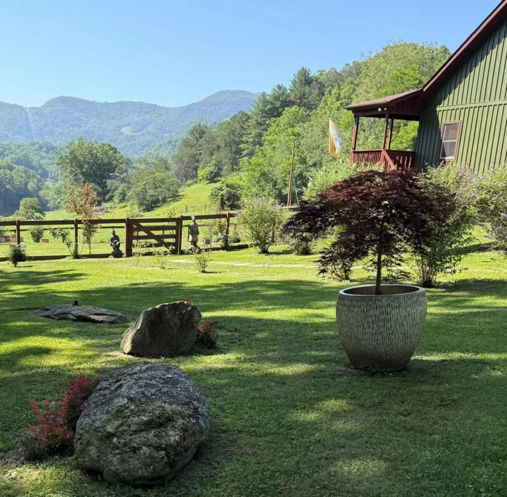 from-lawn-to-landscape-a-journey-of-horticultural-renewal-in-north-carolina