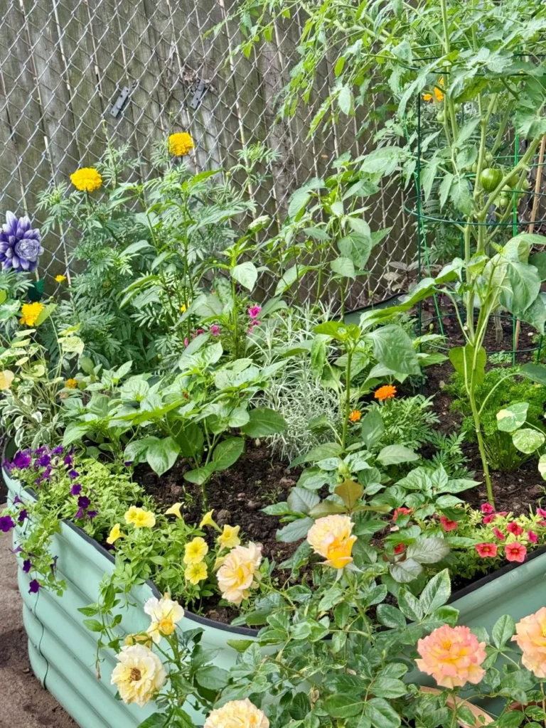 gardening-in-the-concrete-jungle-a-masterclass-in-small-space-abundance