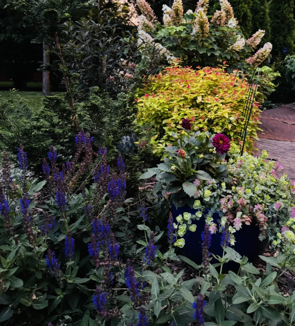 mastering-the-midwest-a-masterclass-in-clay-soil-gardening-with-suzannah-dolanc-pugh