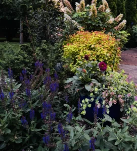 mastering-the-midwest-a-masterclass-in-clay-soil-gardening-with-suzannah-dolanc-pugh