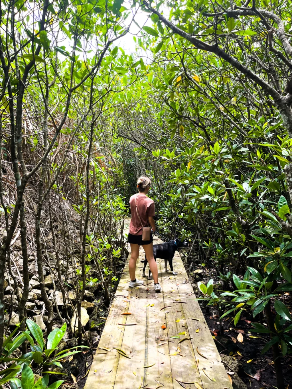 reader-case-study-stationed-in-japan-with-the-us-marine-corps-hoping-to-fire-frugalwoods