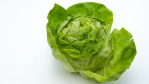 the-2026-cyclospora-crisis-a-deep-dive-into-a-strained-food-safety-system