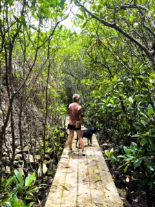the-blueprint-for-early-retirement-a-military-couples-journey-from-okinawa-to-financial-independence