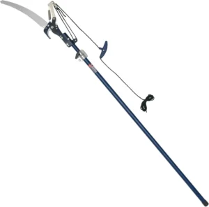 the-eternal-apprentice-why-gardening-demands-a-lifetime-of-discovery