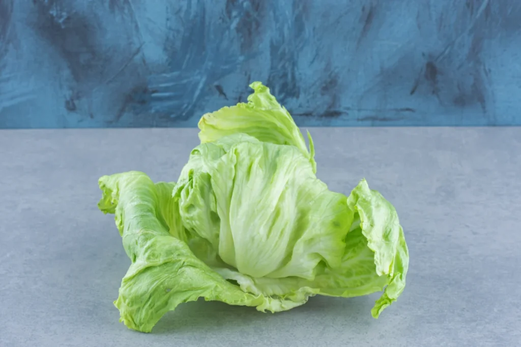 Fresh and green lettuce on grey background, food concept