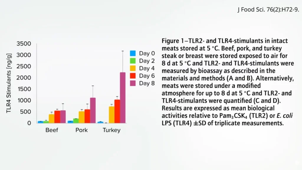 the-immediate-impact-how-a-single-high-fat-meal-can-cripple-your-body-within-hours