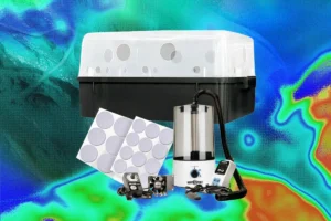 the-mycelium-frontier-a-deep-dive-into-home-mushroom-cultivation