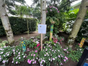 a-masterclass-in-pnw-horticulture-a-deeper-look-into-lilas-mill-creek-sanctuary