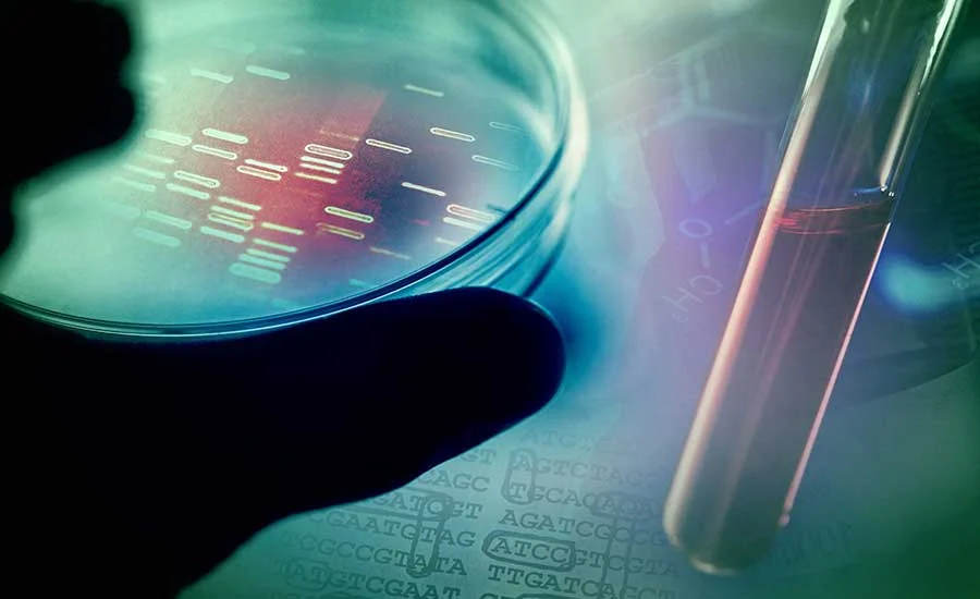 a-new-era-for-eu-food-safety-decoding-the-impact-of-regulation-eu-2025-179