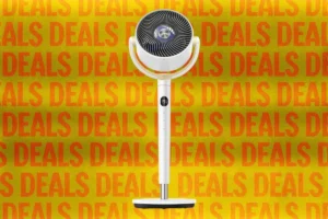 beat-the-heat-why-our-top-rated-fans-are-finally-on-sale