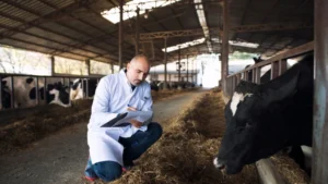 beyond-the-farm-gate-why-antibiotic-stewardship-must-be-bolstered-by-rigorous-food-hygiene