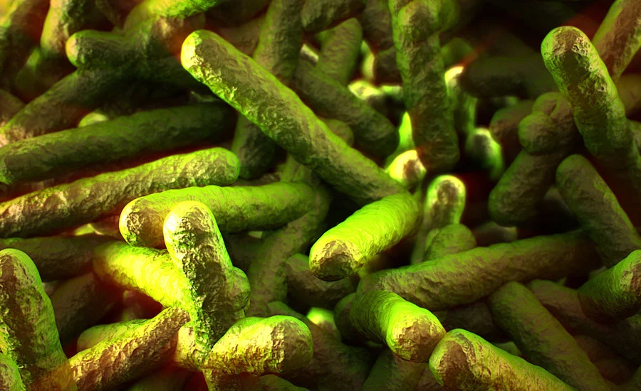 beyond-the-status-quo-rethinking-listeria-control-in-the-modern-food-system