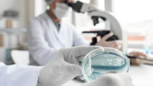 confronting-the-silent-pandemic-global-efforts-to-curb-antimicrobial-resistance-in-the-food-chain