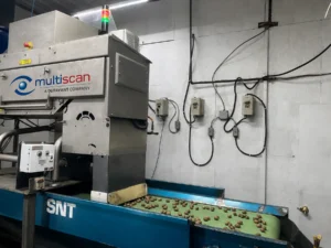 enhancing-nut-quality-assurance-weco-launches-north-americas-first-multiscan-mxv-bulk-x-ray-inspection-system