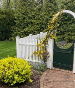 five-decades-of-bloom-a-masterclass-in-pennsylvania-gardening-with-wendy