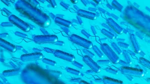 illuminating-the-future-the-evolution-of-blue-light-mediated-photosensitization-in-food-safety