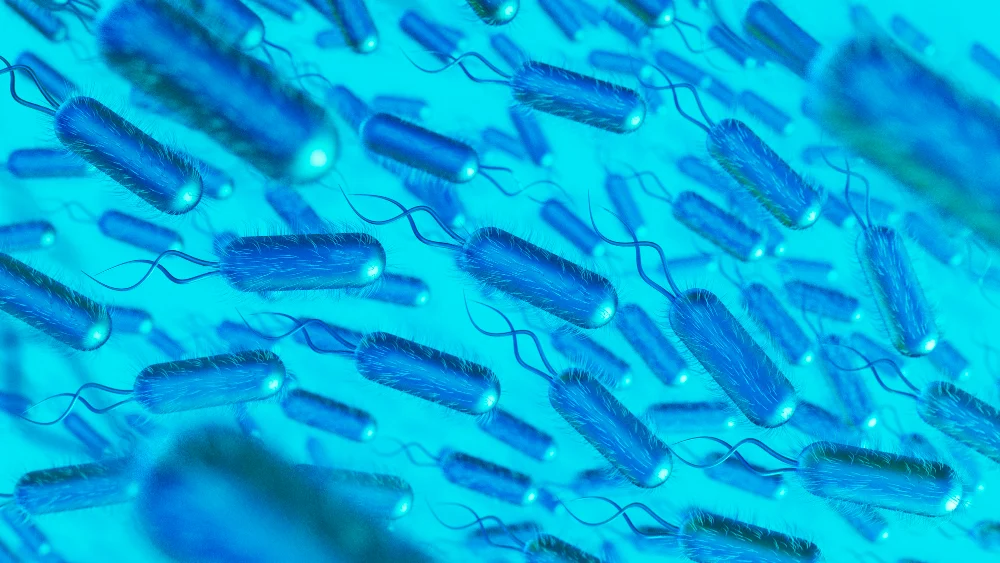 illuminating-the-future-the-evolution-of-blue-light-mediated-photosensitization-in-food-safety
