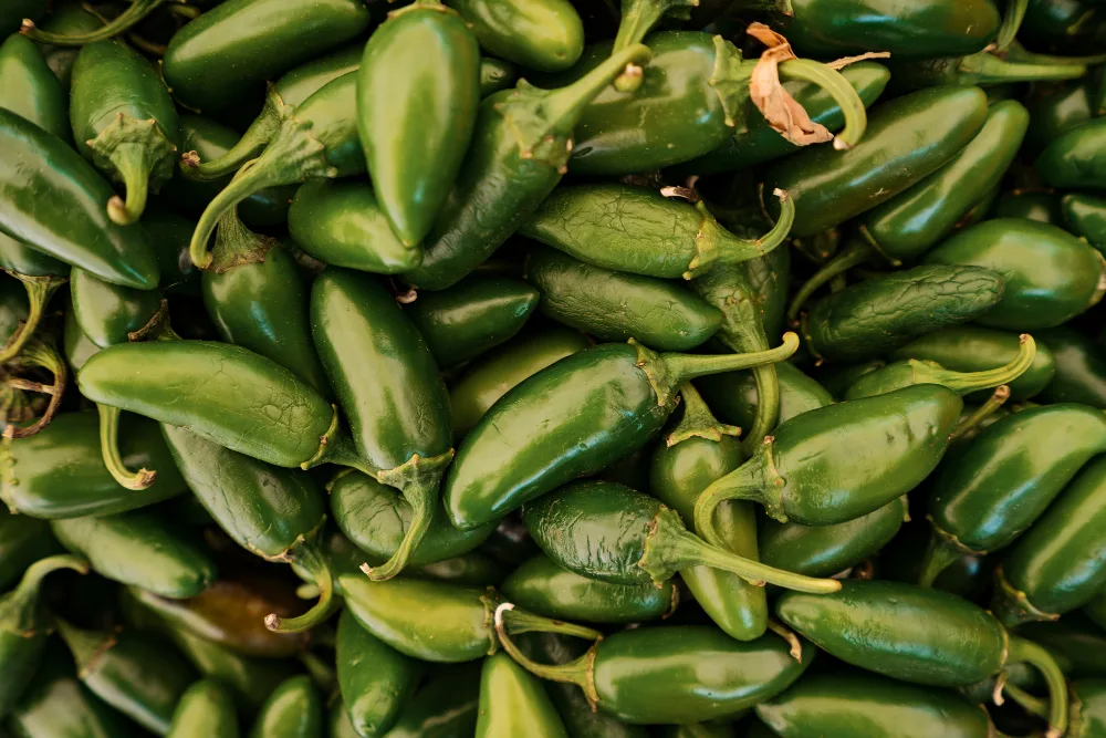 multistate-salmonella-javiana-outbreak-traced-to-jalapeno-peppers-a-comprehensive-report