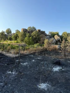 the-ashes-of-gredos-how-climate-change-and-land-neglect-are-reshaping-a-viticultural-treasure