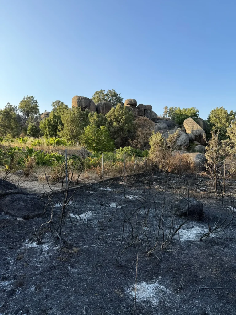 the-ashes-of-gredos-how-climate-change-and-land-neglect-are-reshaping-a-viticultural-treasure