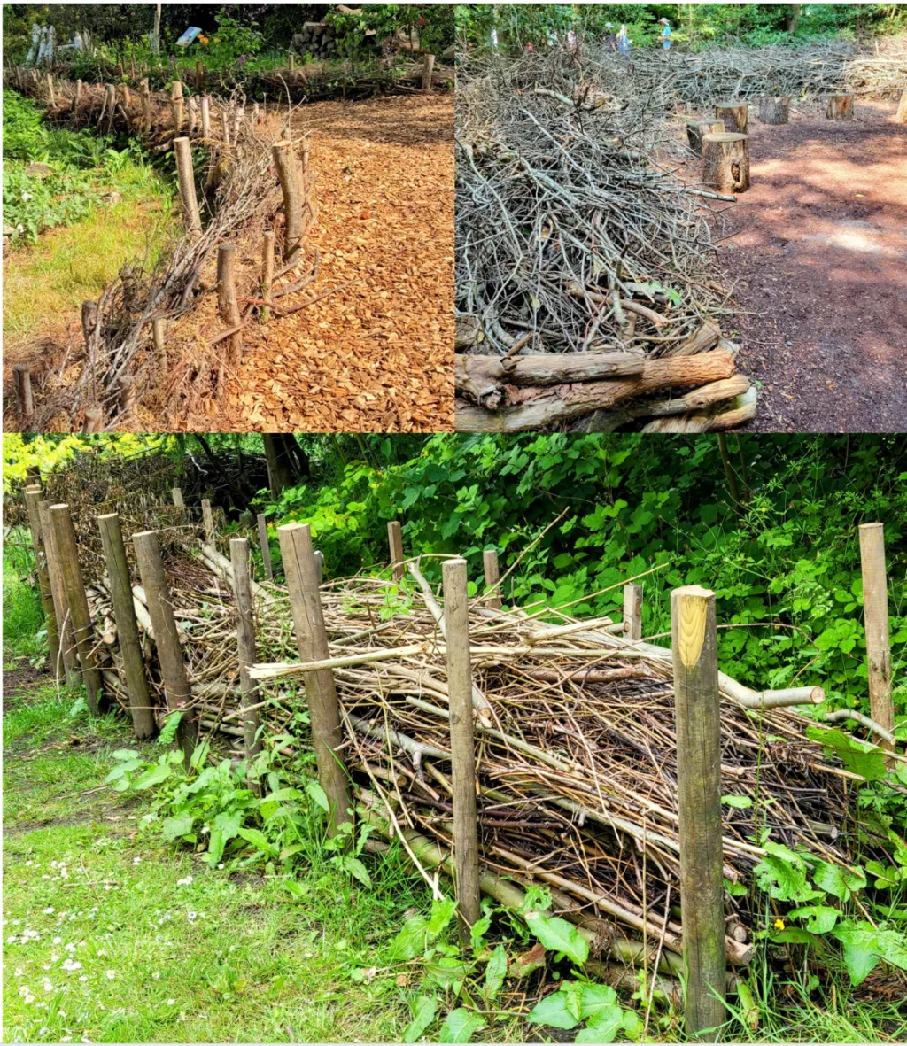 the-dilemma-of-the-invasive-landscape-balancing-ecological-responsibility-with-property-stewardship