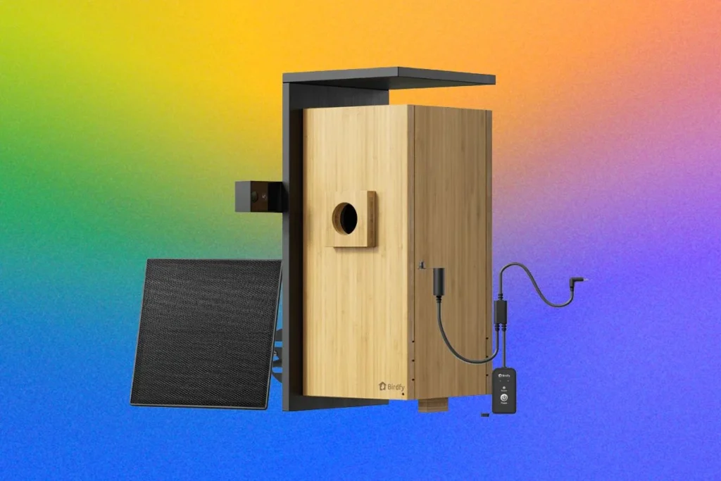 the-high-definition-nest-how-smart-technology-is-revolutionizing-backyard-ornithology