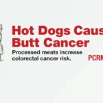 The Unseen Battle: How Public Health Triumphed Over Trans Fats – A Landmark Victory in Food Regulation