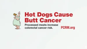the-unseen-battle-how-public-health-triumphed-over-trans-fats-a-landmark-victory-in-food-regulation