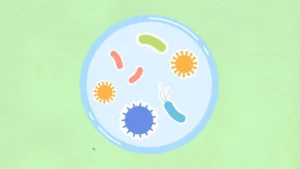 unmasking-the-microscopic-threat-new-research-decodes-listeria-biofilm-persistence-on-food-contact-surfaces