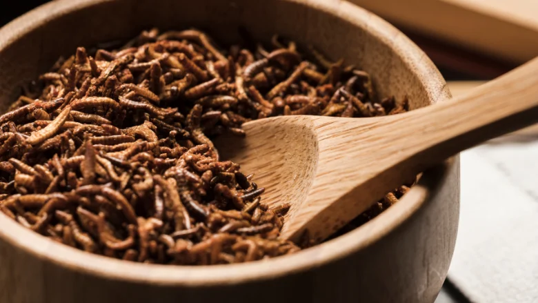allergen-carryover-in-edible-insects-new-study-challenges-assumptions-about-pre-harvest-fasting