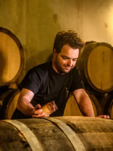 beyond-the-white-the-quiet-renaissance-of-alsatian-pinot-noir