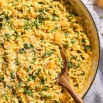 culinary-innovation-in-the-home-kitchen-the-mechanics-and-economics-of-the-one-pot-butternut-squash-orzo