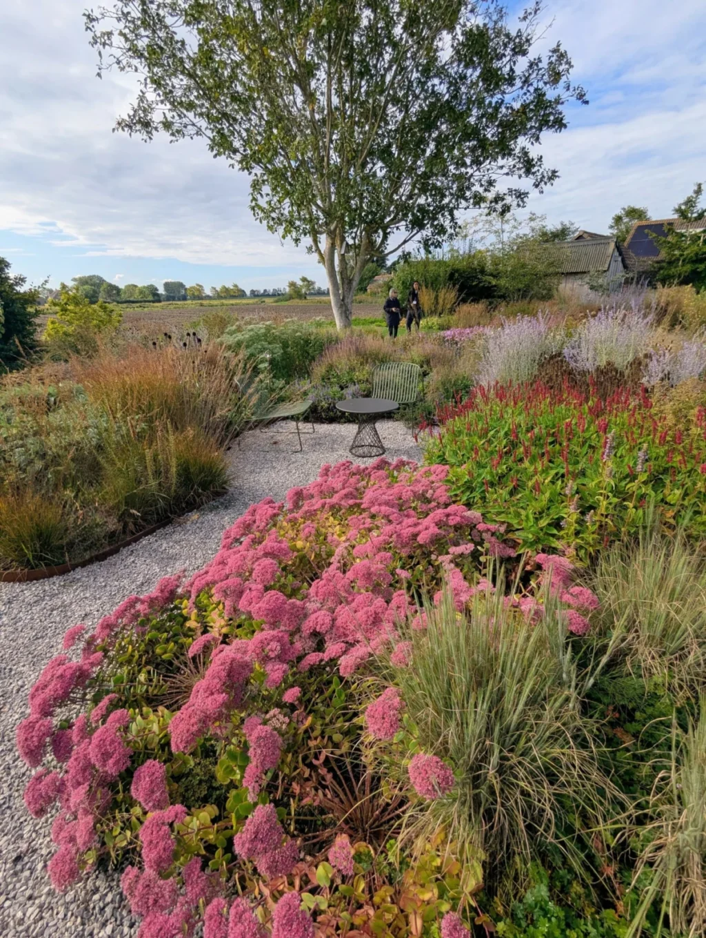embracing-the-wild-a-masterclass-in-dutch-naturalistic-garden-design