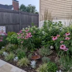 from-blank-slate-to-botanical-haven-sarahs-st-louis-transformation