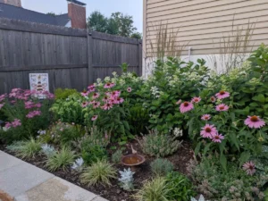from-blank-slate-to-botanical-haven-sarahs-st-louis-transformation