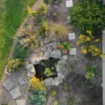 from-good-enough-to-great-how-one-gardeners-pivot-transformed-a-backyard-sanctuary