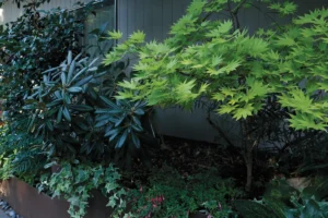 from-mundane-to-modern-a-mid-century-entryway-transformation-in-seattle