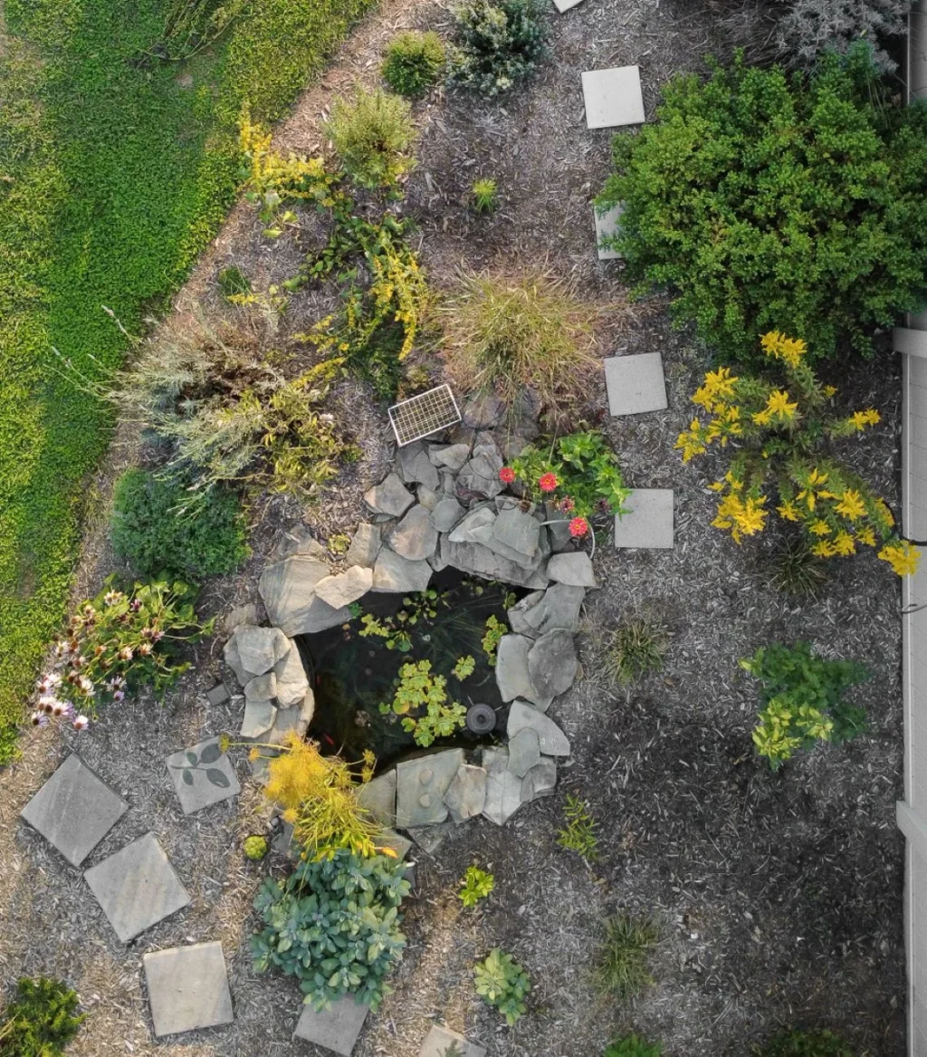 from-oops-to-oasis-a-masterclass-in-backyard-transformation
