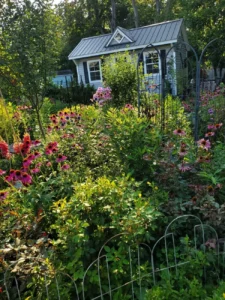from-shade-to-sun-navigating-the-evolution-of-a-new-jersey-garden