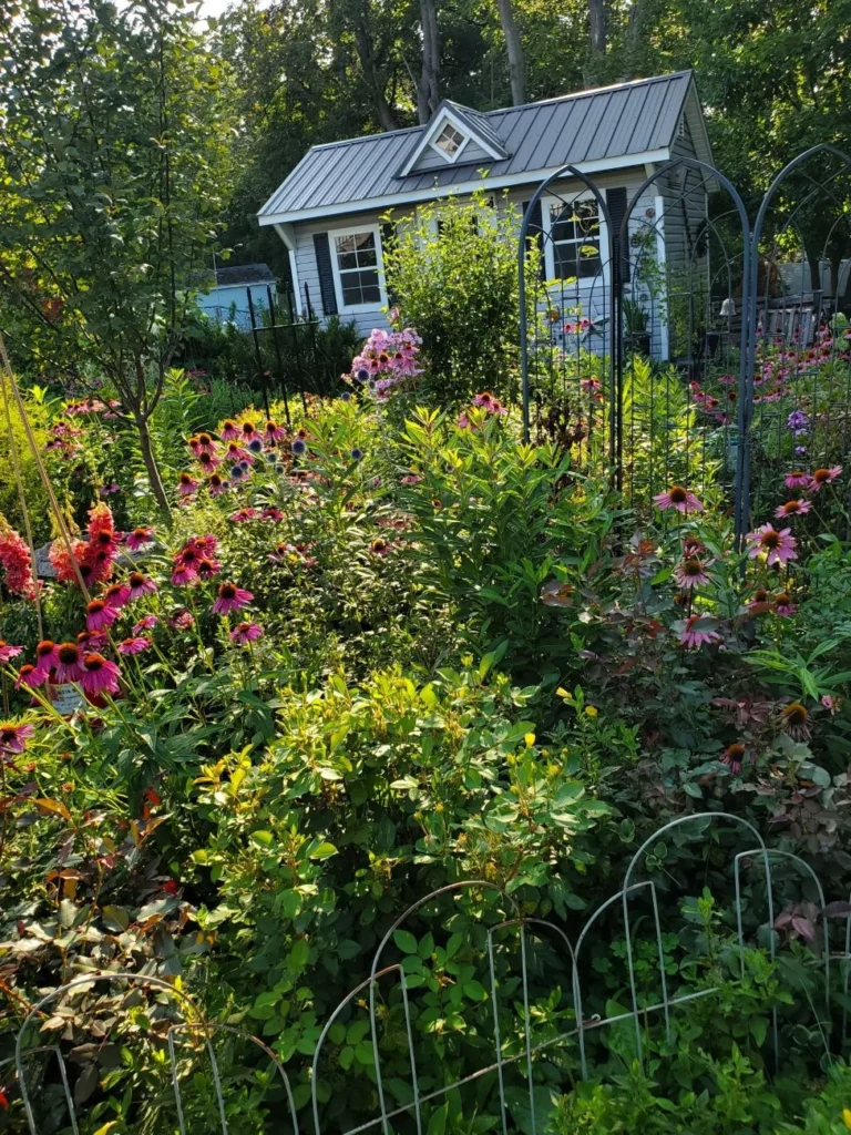 from-shade-to-sun-navigating-the-evolution-of-a-new-jersey-garden