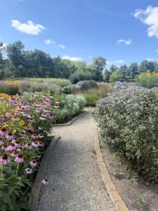 geometry-in-the-garden-inside-the-biodiversity-haven-of-lynn-oshaughnessys-circle-garden