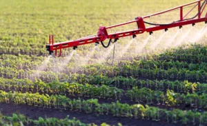 glyphosate-controversy-persists-echa-reaffirms-safety-stance-despite-new-cancer-research