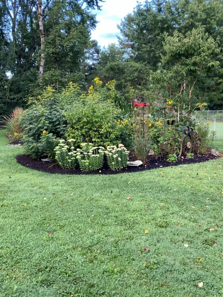mastering-the-art-of-container-gardening-a-case-study-in-botanical-versatility