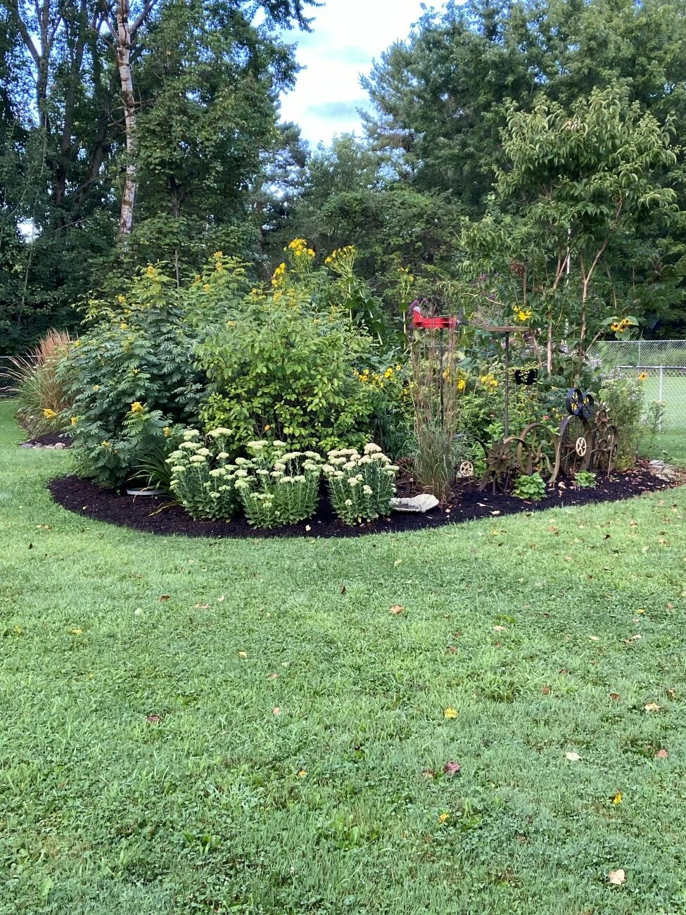 mastering-the-art-of-container-gardening-a-case-study-in-botanical-versatility