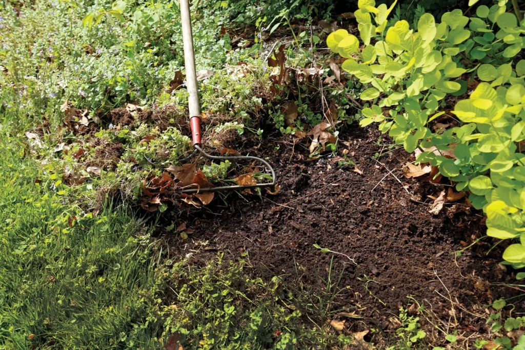 mastering-the-landscape-a-strategic-guide-to-intelligent-weed-management