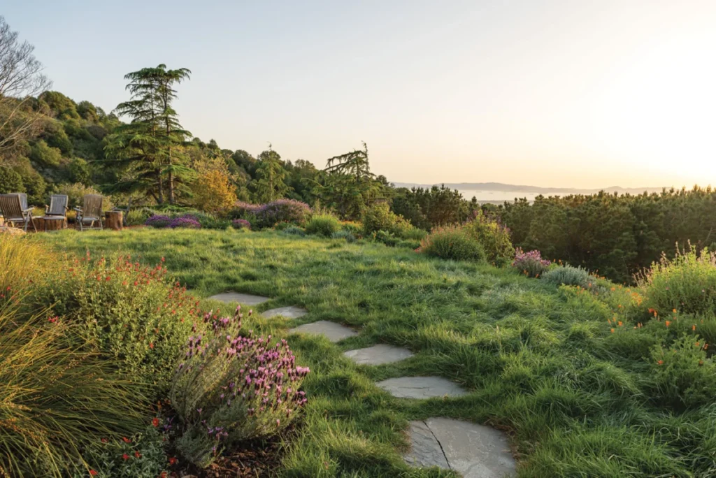mastering-the-vast-landscape-a-blueprint-for-functional-beauty-at-skyline-meadow-farm