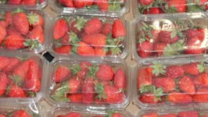 revolutionizing-chemical-safety-a-new-frontier-in-high-throughput-toxicology-for-food-packaging